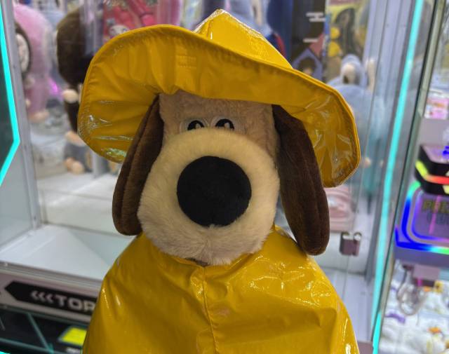 해당 사진은 기사와 무관함. 사진=독자제공