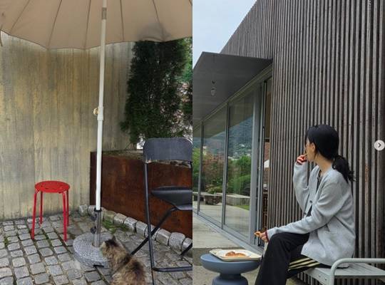 /사진=이영애 개인계정