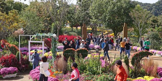 붕어섬 생태공원