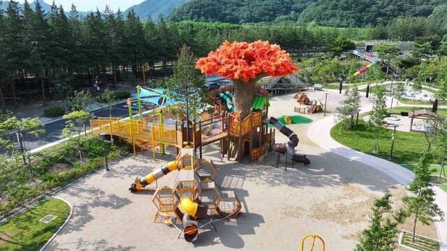 단풍나무놀이터