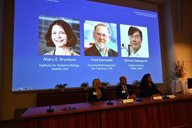 노벨 생리의학상에 매리 브런코, 프레드 람스델, 사카구치 시몬. 연합뉴스