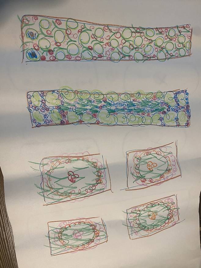 생태수업 시간에 지혜학교 학생이 디자인한 밭.