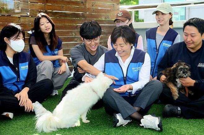 송미령 농림축산식품부 장관이 2일 서울 동대문구 동물복지지원센터를 방문해 입양을 기다리고 있는 사회화 훈련 봉사에 참여하고 있다. [사진출처=농림축산식품부]