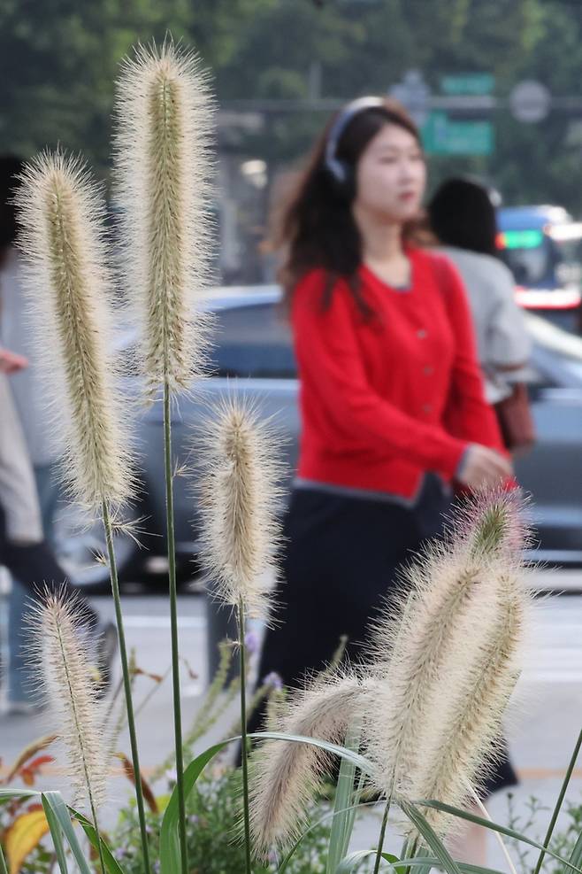 일교차가 벌어지며 쌀쌀한 가을 날씨를 보인 29일 서울 종로구 광화문광장 인근에서 긴소매 옷을 입은 시민이 발걸음을 재촉하고 있다. 2025.9.29 [사진 = 연합뉴스]