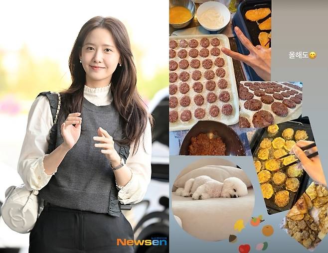 사진=뉴스엔DB, 임윤아 SNS