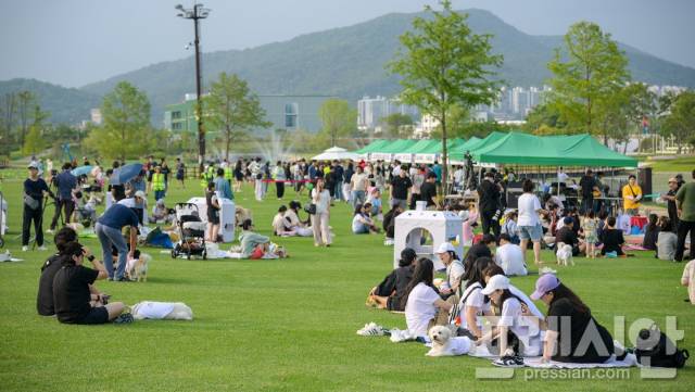 ▲오천그린광장에서 열린 2024년 댕댕나이트런ⓒ순천시