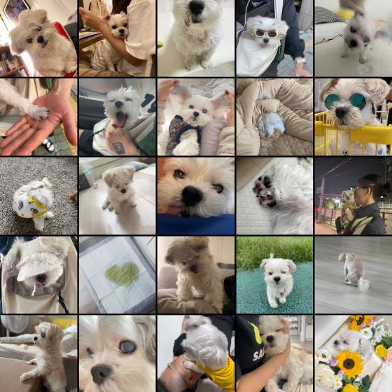 /사진=프레디 카소(Fredi Casso) 새 EP ‘미키 19’(Miki 19) 커버