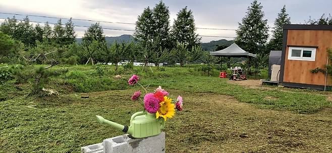 풀을 깎은 곳과 그렇지 않은 곳의 대비