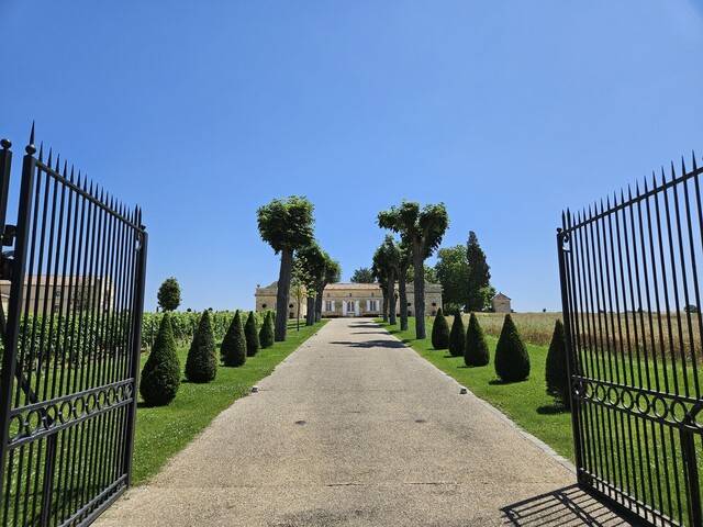 샤토 트로트 비에유의 포도원으로 들어가는 입구. 정면에 샤토 주인의 저택이 보인다. 천호성 기자