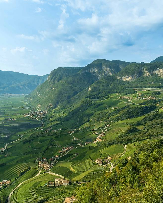 쿠르타치  와이너리 가장 높은 포도밭에서 바라본 계곡의 모습. [사진=전형민 기자]