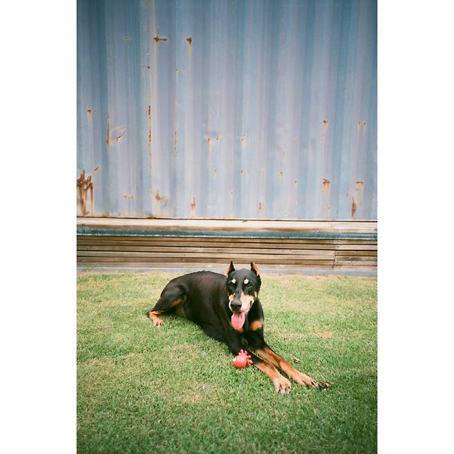 사진 출처=배정남 계정