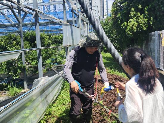 도내 한 농업인이 농작업 안전 수칙을 지키고 있는 모습.