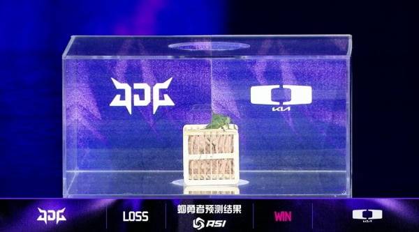 치지직 ASI 중계 화면 캡처