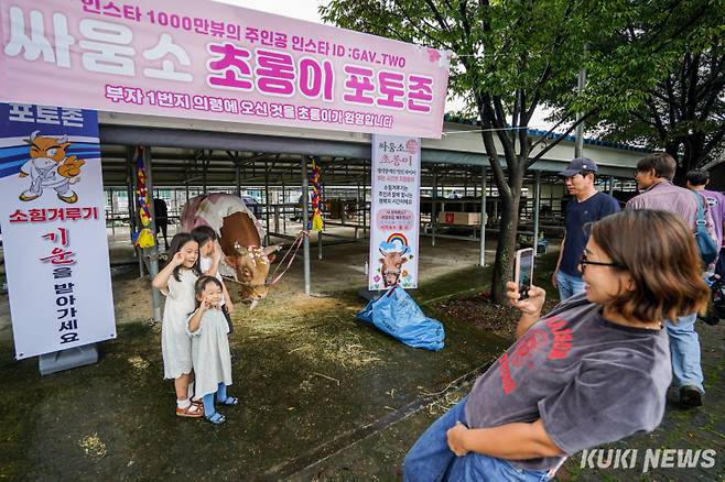 7일 경남 의령군 의령민속경기장에서 열린 ‘추석 소힘겨루기 대회’에서 아이들이 싸움소 초롱이와 함께 기념사진을 촬영하고 있다.