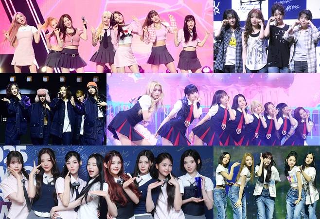 티브이데일리 포토