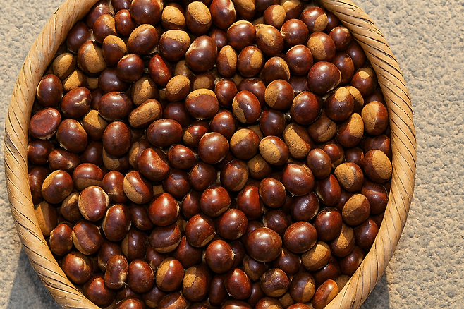 밤 보관법부터 삶는법 효능까지 제대로 알면 1년 내내 즐길 수 있어요