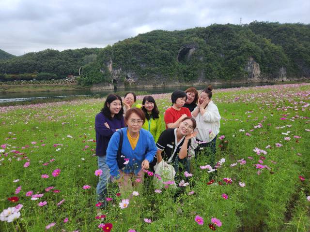 가을에 정취가 물씬 풍기는 단양 도담정원에 관광 온 관광객이 코스모스 향기에 취해 있다. 단양=이상복 기자