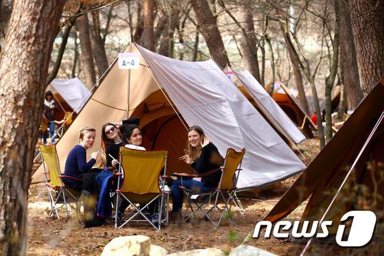 기사 이해를 돕기 위한 캠핑행사 자료 사진으로 기사 내용과 직접 관련 없음. (재판매 및 DB금지)/뉴스1
