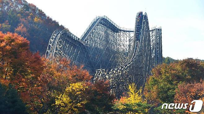 사진은 티익스프레스 단풍 모습. (에버랜드 제공) 2019.10.7/뉴스1