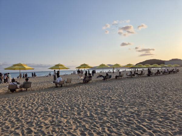 10일 오후 부산 해운대해수욕장 백사장에서 과학축제에 참가한 시민들이 파라솔 의자에 앉아 독서를 하고 있다. 부산과학기술협의회 제공