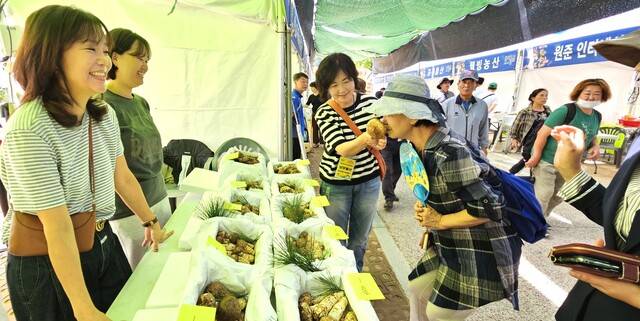 ‘2024년 봉화송이축제’ 행사장에서 관람객이 판매중인 송이향을 맡고 있다. 봉화군