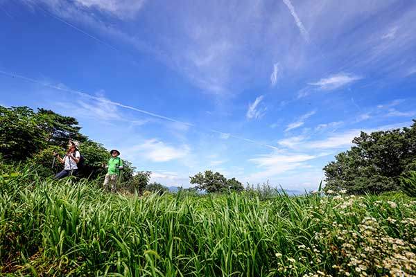 순수한 자연으로 가득한 깃대봉 산길.&nbsp;