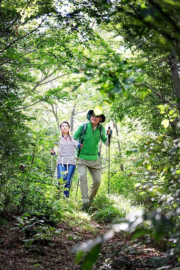 초록 터널을 이룬 사자바위 가는 길.