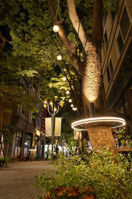 용인 보정동 카페거리 '코지가든' 전경 ⓒ경기문화재단 제공