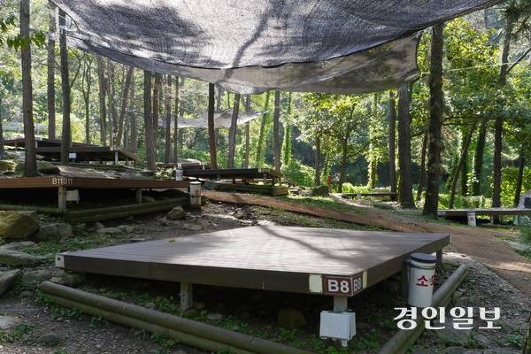 나무그늘 아래 데크들이 설치된 병목안캠핑장은 인기가 많아서 주말에 예약이 쉽지 않다. 2025.10.2. 안양/박상일기자 metro@kyeongin.com