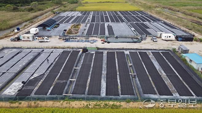 최근 '탄소꽃이끼' 계약 재배에 뛰어들었다가 큰 손실을 보게 됐다고 주장하는 안산의 한 농장 모습. 임채운기자