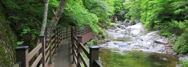 산림청은 전국 권역별로 대표 숲길 10선을 추천했다. 사진은 장수 방화동 생태길./산림청