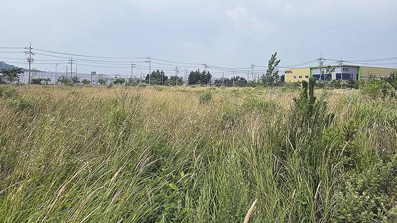 충남 서천군 장항국가생태산업단지. 중앙포토