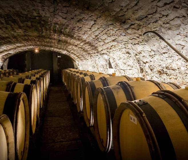 알베르 비쇼 셀러 전경. 홈페이지