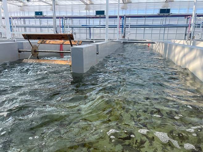 전북특별자치도 수산기술연구소에서 김 육상 양식 연구 자료사진. 전북도 제공