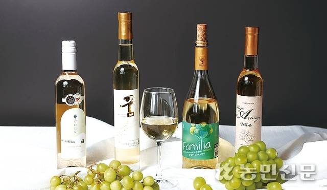 화이트와인. (왼쪽부터) 충북 영동 시나브로와이너리 ‘청수 화이트’, 영동 여포와인농장 ‘여포의 꿈’, 경북 상주 젤코바와인 ‘파밀리아 세미드라이’, 상주 원더풀월드와이너리 ‘비에호 아미고 화이트’.