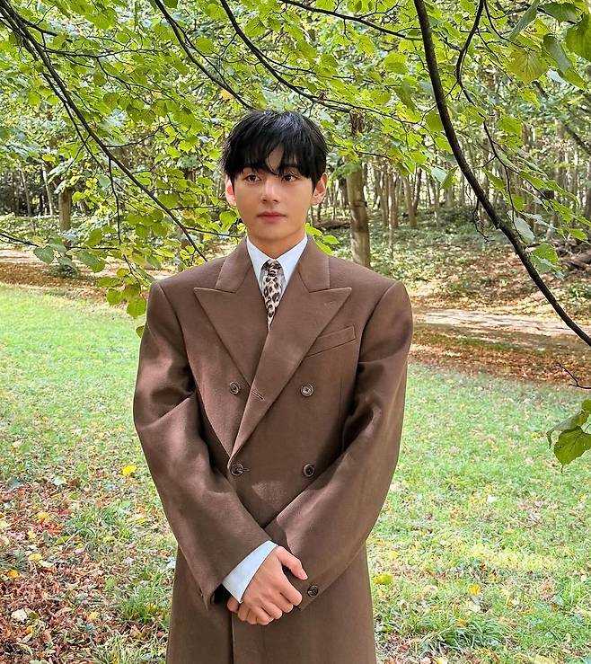 방탄소년단 뷔 SNS