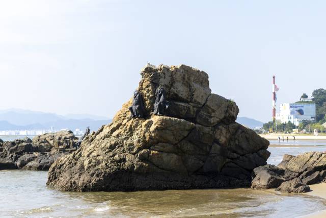 하이케 카비쉬 ‘마이 시스터즈’(2025). 부산비엔날레조직위원회 제공