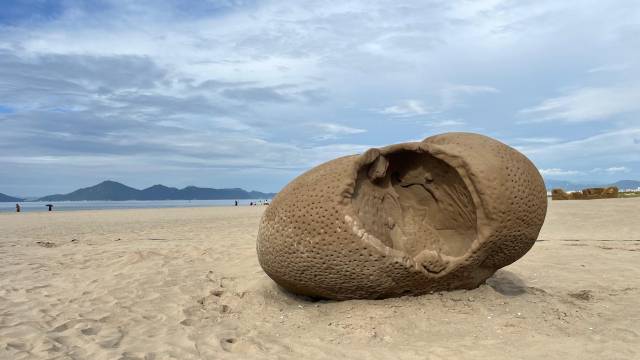 지븨 리& 필립 씨. 라이너 ‘편린들: 바닷물결의 기억’(2025). 부산비엔날레조직위원회 제공