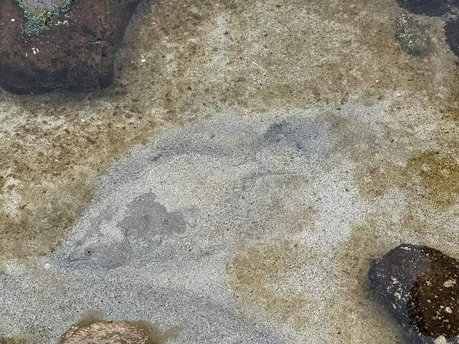 0490f719bc846cf620b5c6b236ef203e1260de6eeab2a13b63