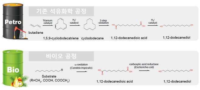 기존 석유화학 공정(위)과 바이오 공정(아래)을 통한 지방족 폴리에스터 원료 제조공정 비교