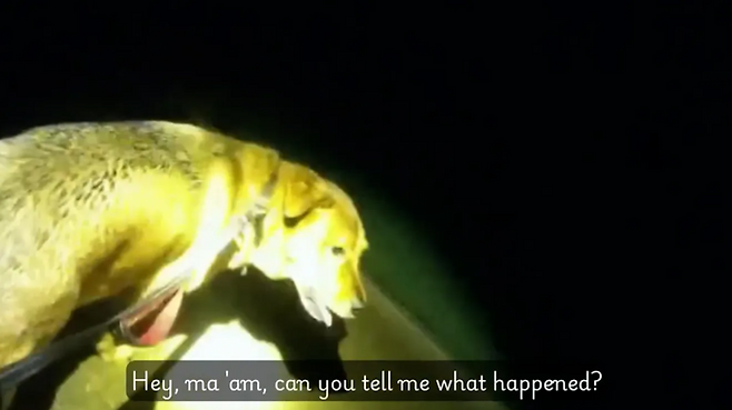 실종 접수된 할머니가 쓰러진 곳으로 경찰을 안내한 강아지 이요르. /사진=USA투데이