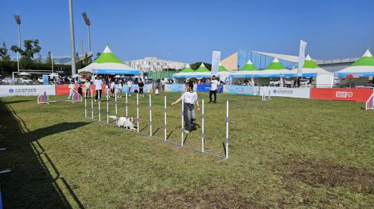 지난 11일과 12일 포항종합운동장 만인당 잔디광장에서 '제9회 포항시 반려동물 문화축제'가 열리고 있다. [사진=포항시청]