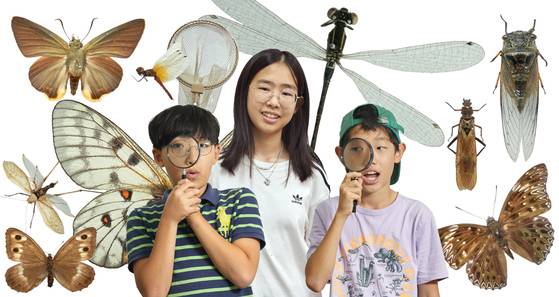 국립과천과학관 곤충생태관을 찾아 기후변화를 알려주는 곤충들에 대해 알아본 이현우·김이솔·김산하(왼쪽부터) 학생기자. 왼쪽 위부터 시계방향으로 푸른큰수리팔랑나비·한국꼬마잠자리·푸른아시아실잠자리·큰그물강도래·말매미·먹그림나비·산굴뚝나비·철써기·붉은점모시나비.
