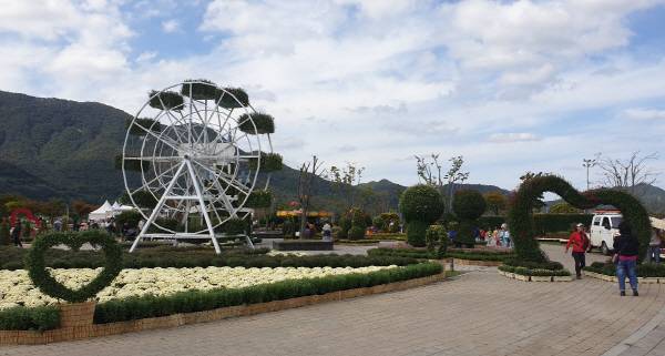 지난해 황산공원에서 열린 양산국화축제.