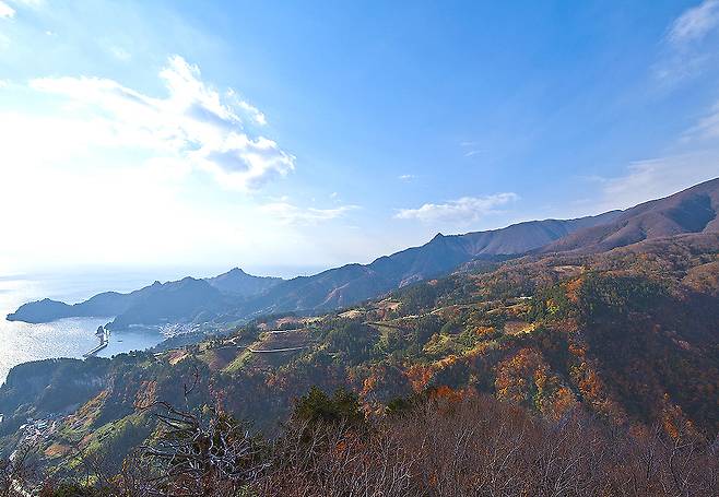 가을옷을 갈아입은 울릉도 산야. 멀리 저동항이 보인다