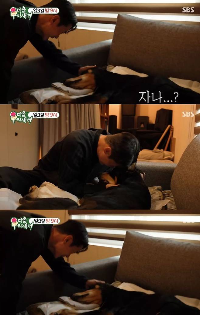 [서울=뉴시스] 오는 19일 방송하는 SBS TV 예능 프로그램 '미운 우리 새끼'에선 배정남과 반려견 벨의 마지막 모습이 공개된다. (사진=SBS '미운 우리 새끼' 캡처) 2025.10.13. photo@newsis.com *재판매 및 DB 금지