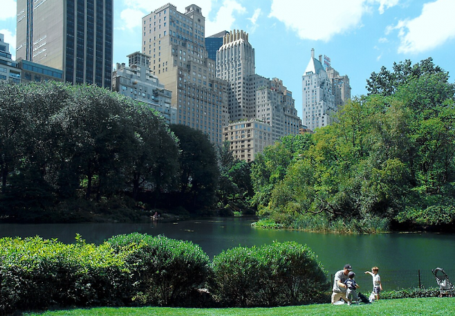 뉴욕 관련 이미지. 위키피디아