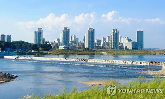 금강 세종보 [세종시 제공. 재판매 및 DB 금지]