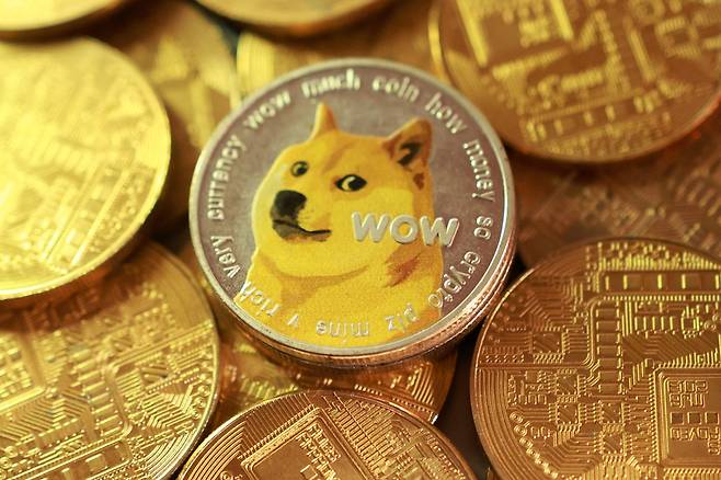 밈코인의 일종인 '도지코인'. 사진은 기사와 직접적 관련 없음. /로이터=연합뉴스