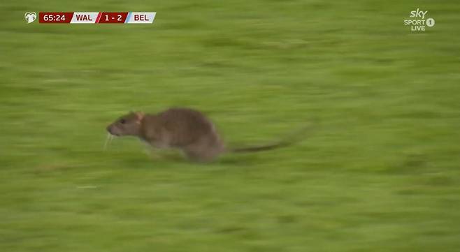 사진=SNS 캡처&nbsp;